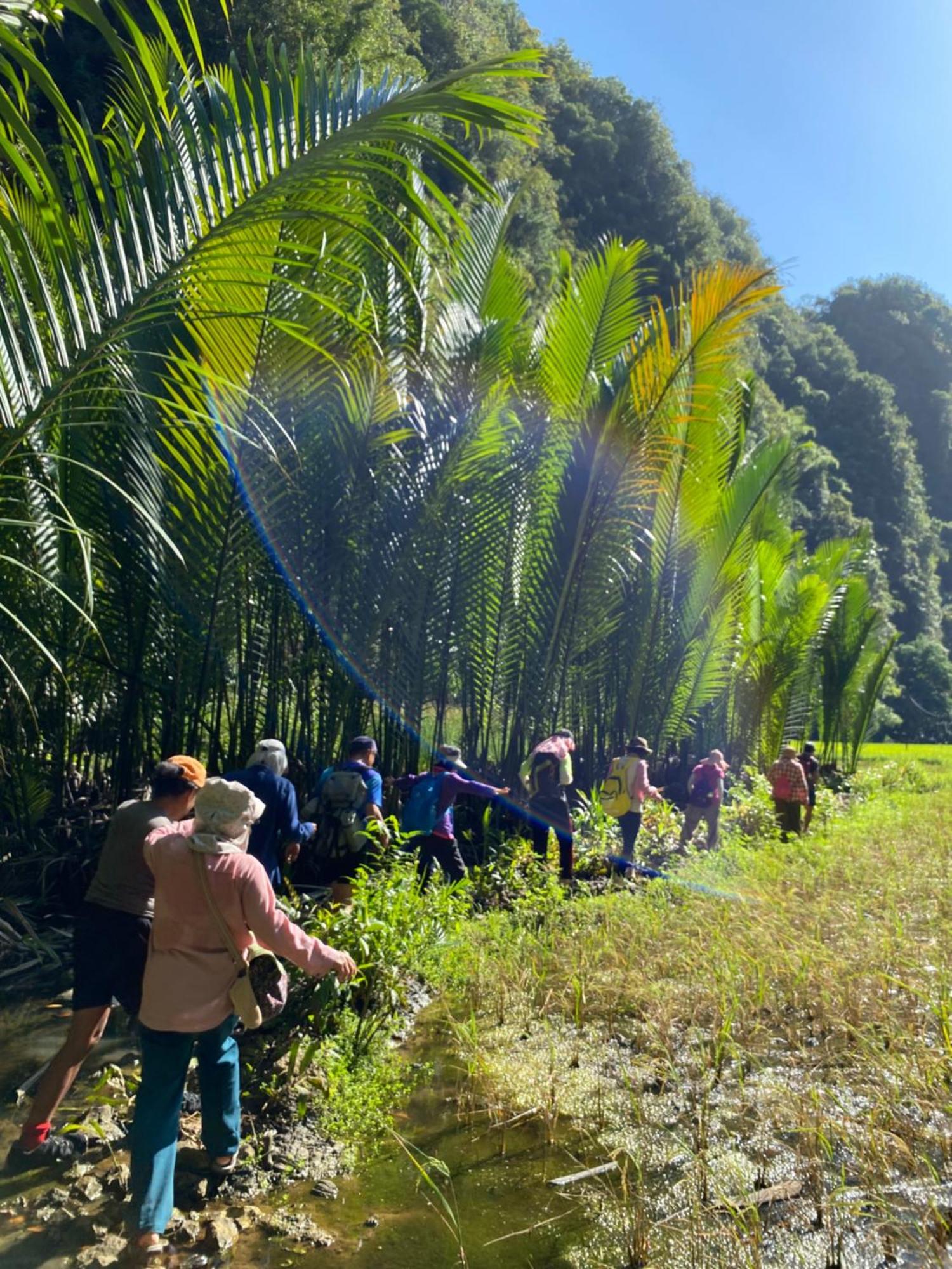 Kasijala Rammang Rammang Ecolodge And Cafe מראה חיצוני תמונה